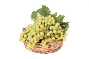 Vittoria-cesto